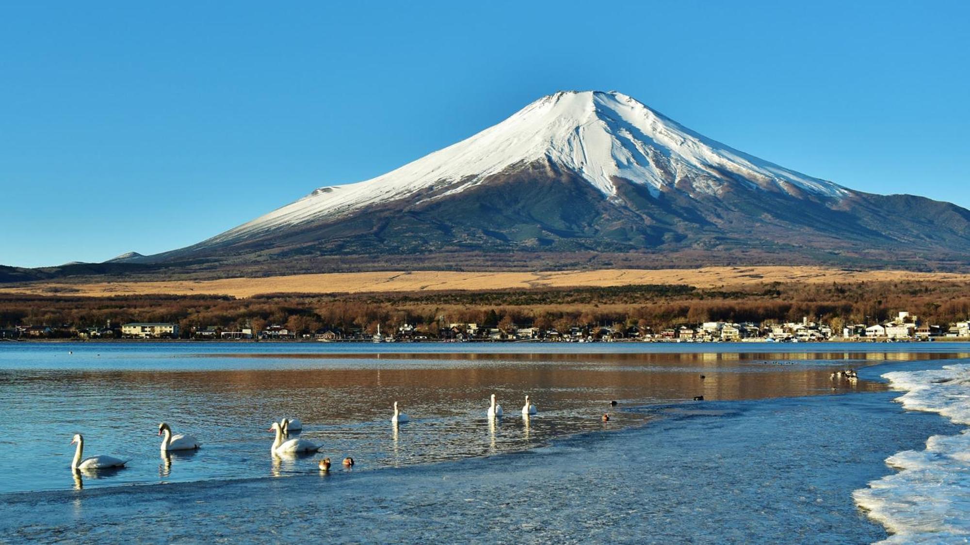 Toyoko Inn Shin-Fuji-Eki Minami-Guchi Fuji  Luaran gambar